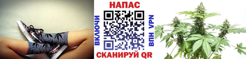 Бошки Шишки семена  Альметьевск 
